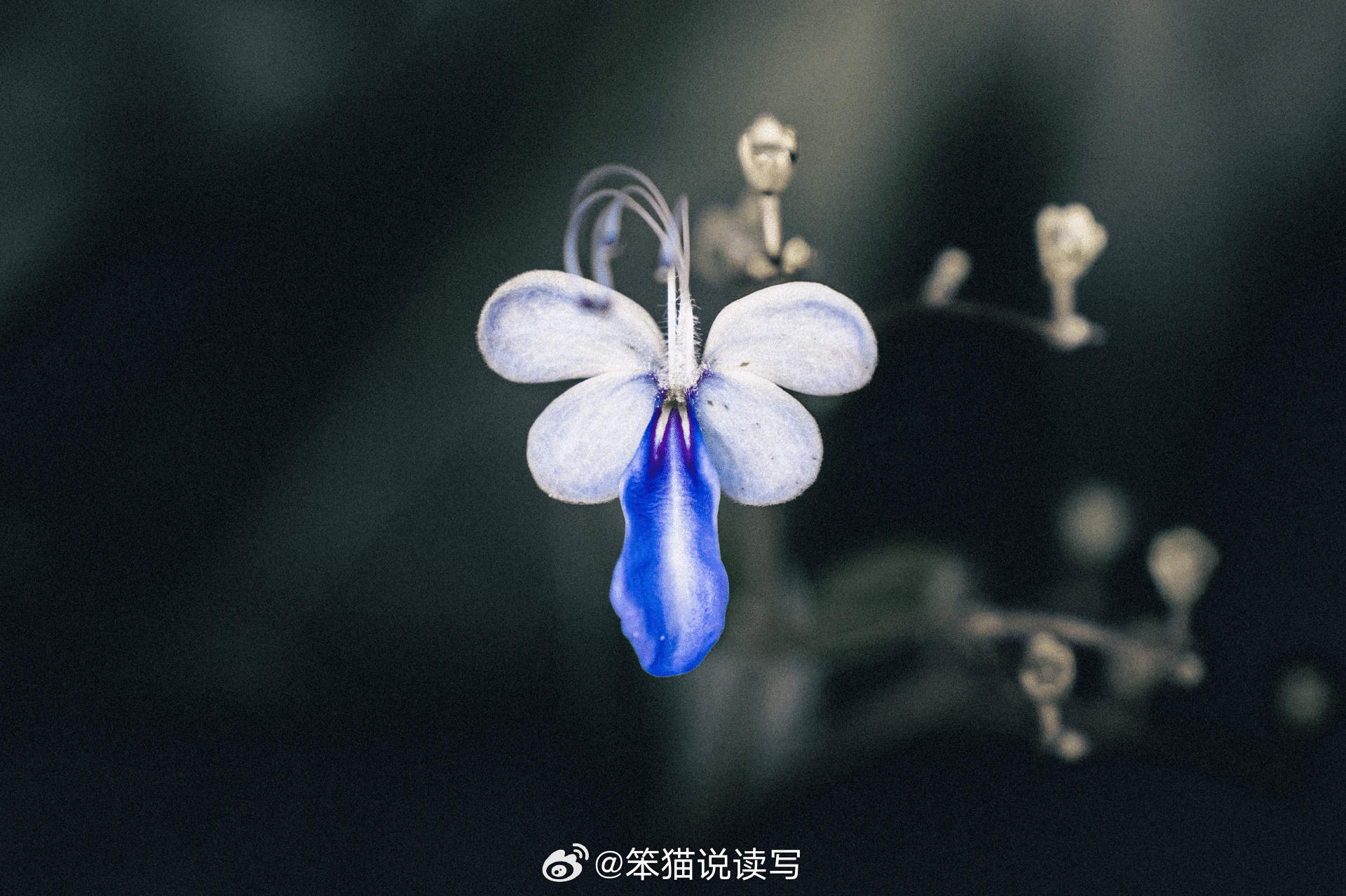人真的是要反复思考自己的优先级，反复排序、取舍。 以前我的时间安排都是...