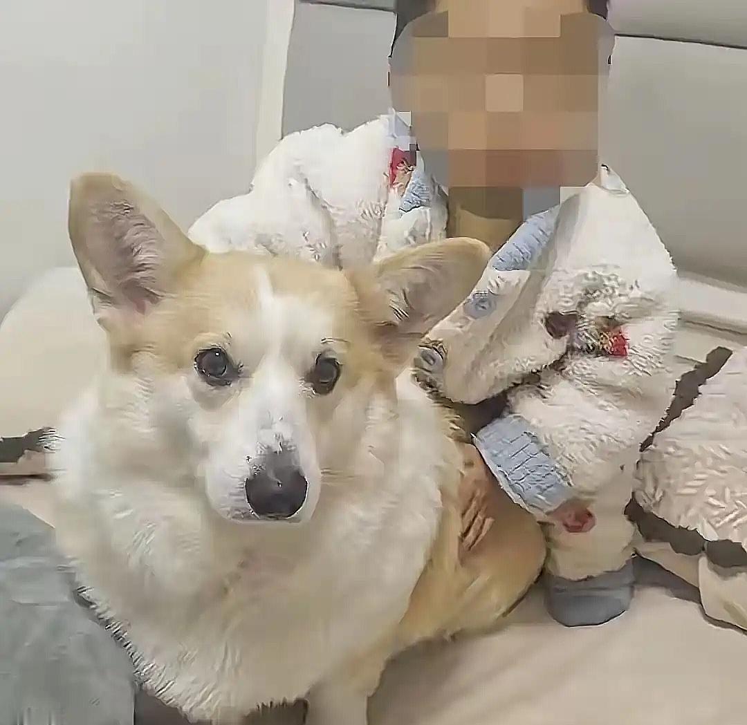 这是什么人还做的爸爸？孩子都坠亡了，你应该表现出极度自责和愧疚，还是表现出极度自私和冷漠？举报妻子在社交平台上传播孩子去世的视频，说什么“侵犯肖像权”，而不是着急忙慌地去处理孩子的后事？他说“我愿意承担一切责任，我会有愧疚感”，但是他所有的表现，所有的言语，都是在为自己找借口，都是在为自己洗白，都是