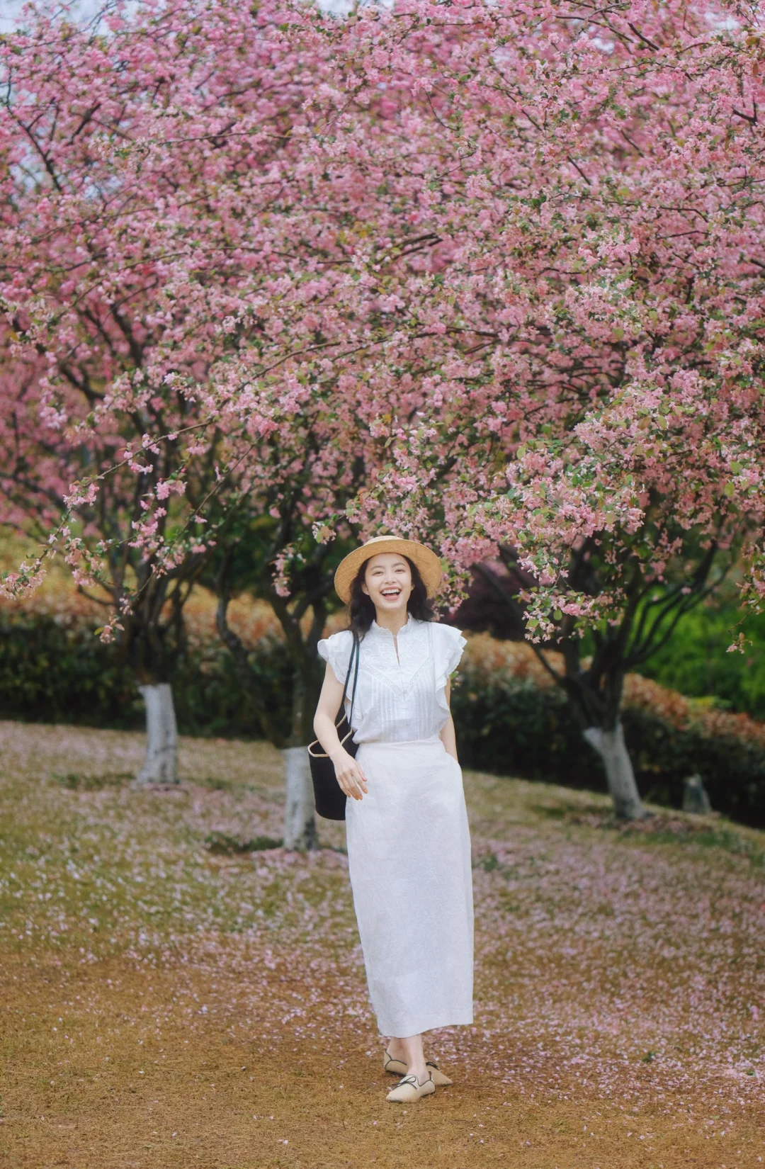 春天的colorwalk，想和你交换粉色的春天