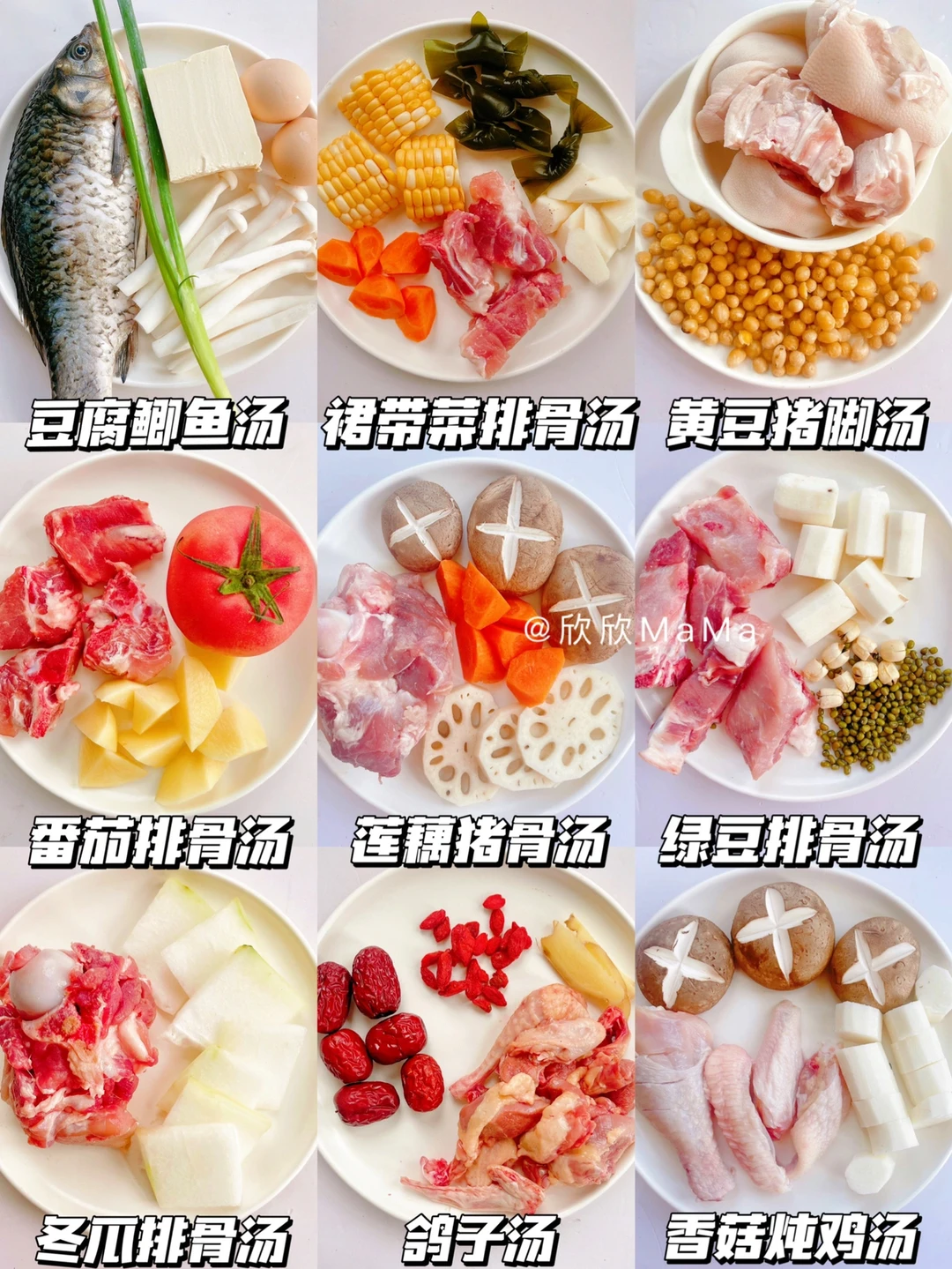 秋冬养胃宝宝营养炖汤｜补钙补铁开胃🔥好喝