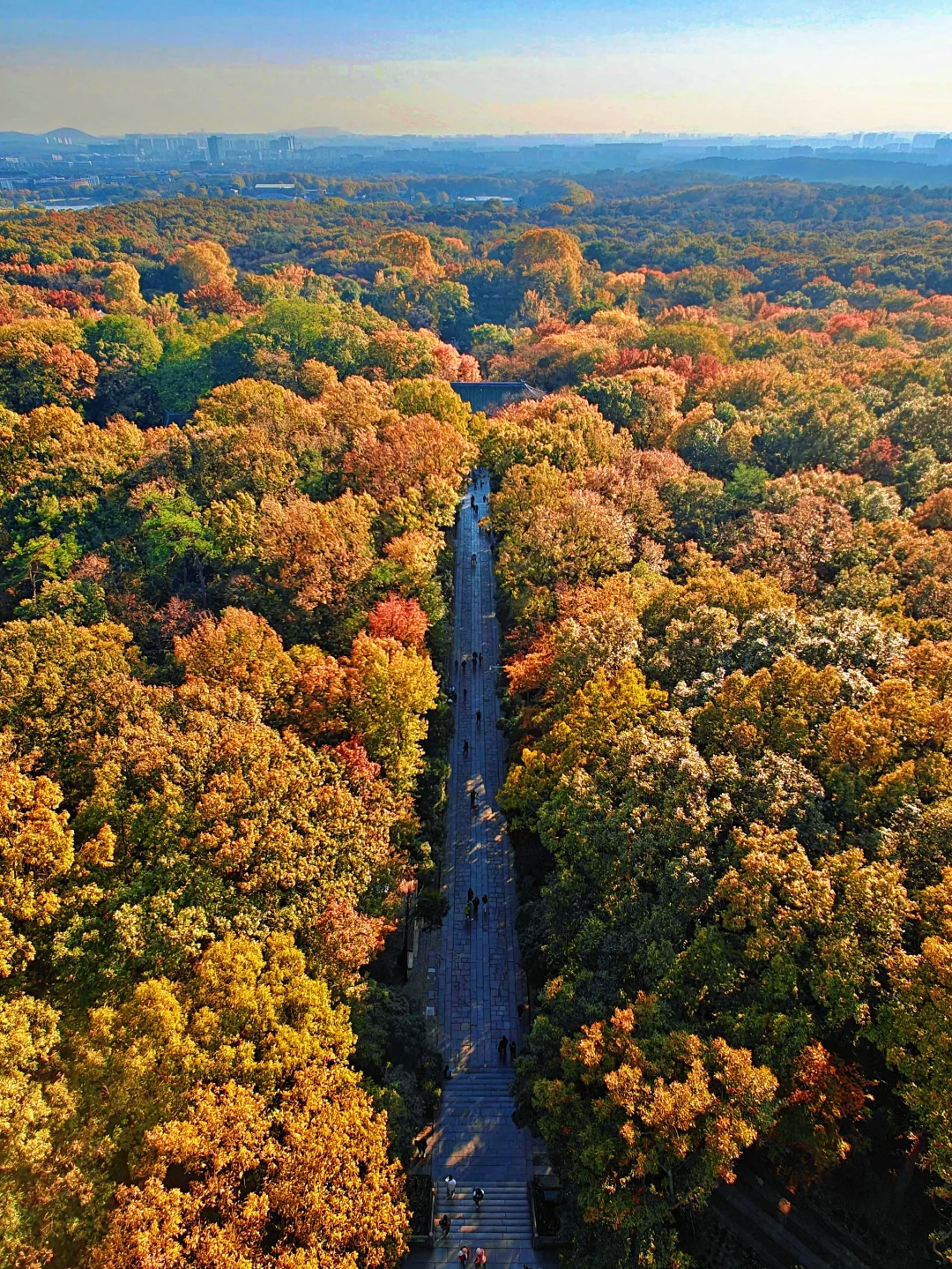 灵谷寺 | 我愿称之为钟山性价比蕞高的景点