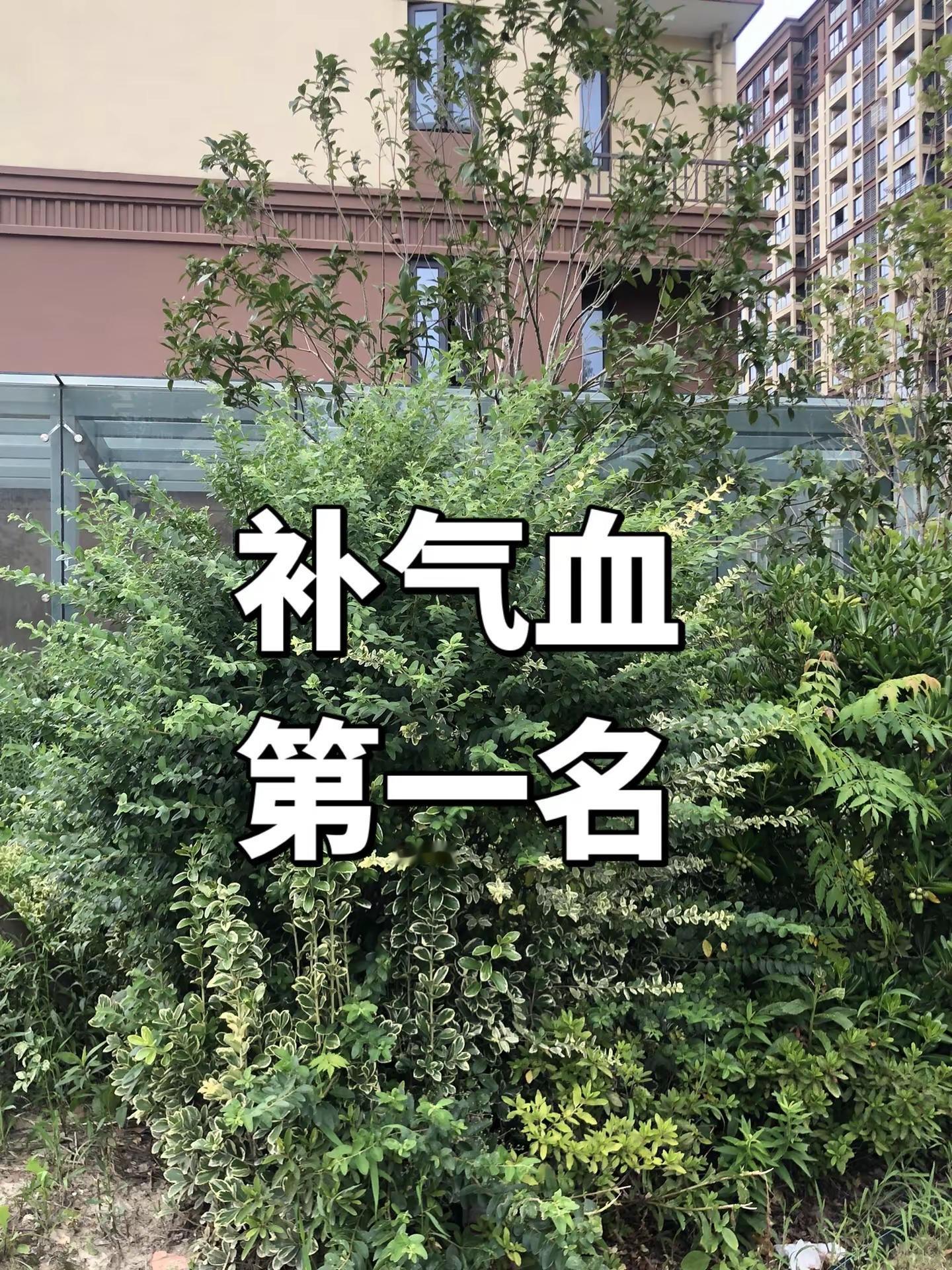 马刺还是太年轻了，关键失误&amp;绝杀不中，马刺主场再负尼克斯  