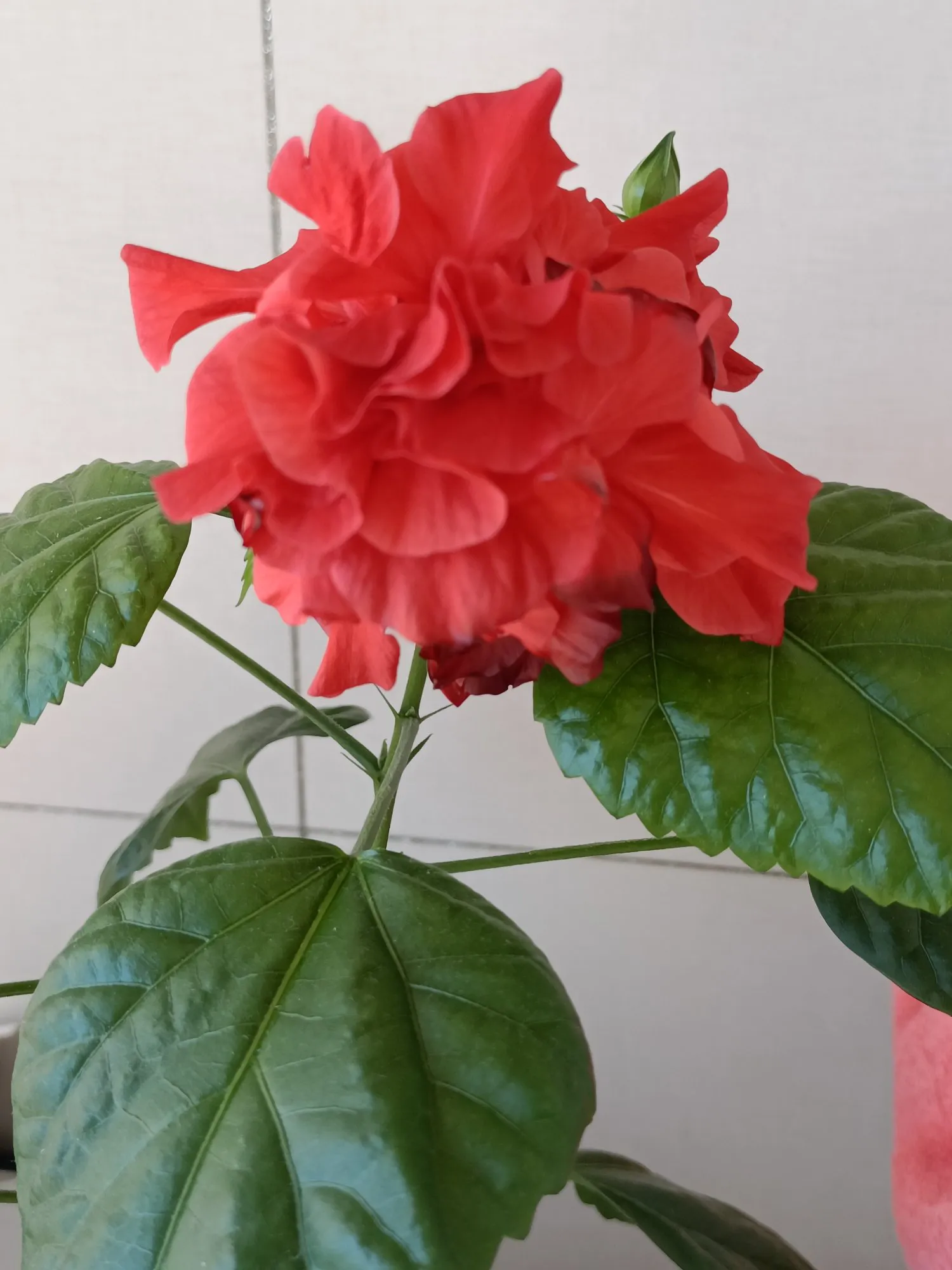 什么样的女性才叫有气质?