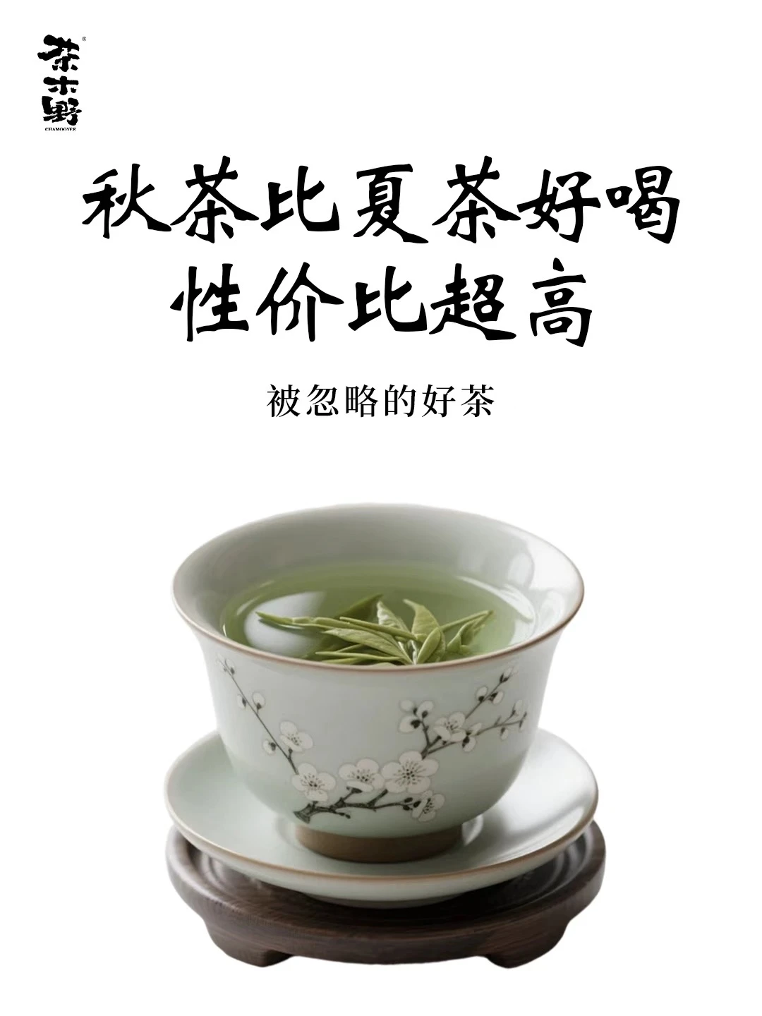 茶知识丨容易被忽略的性价比好茶