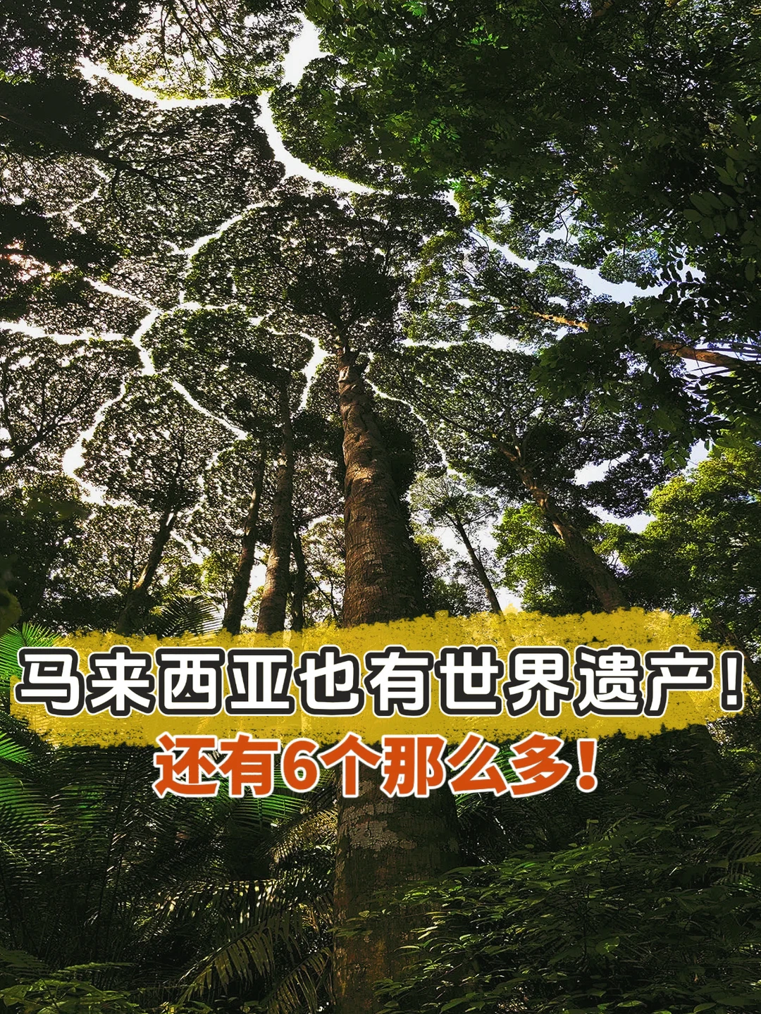 🇲🇾原来马来西亚也有世界遗产！