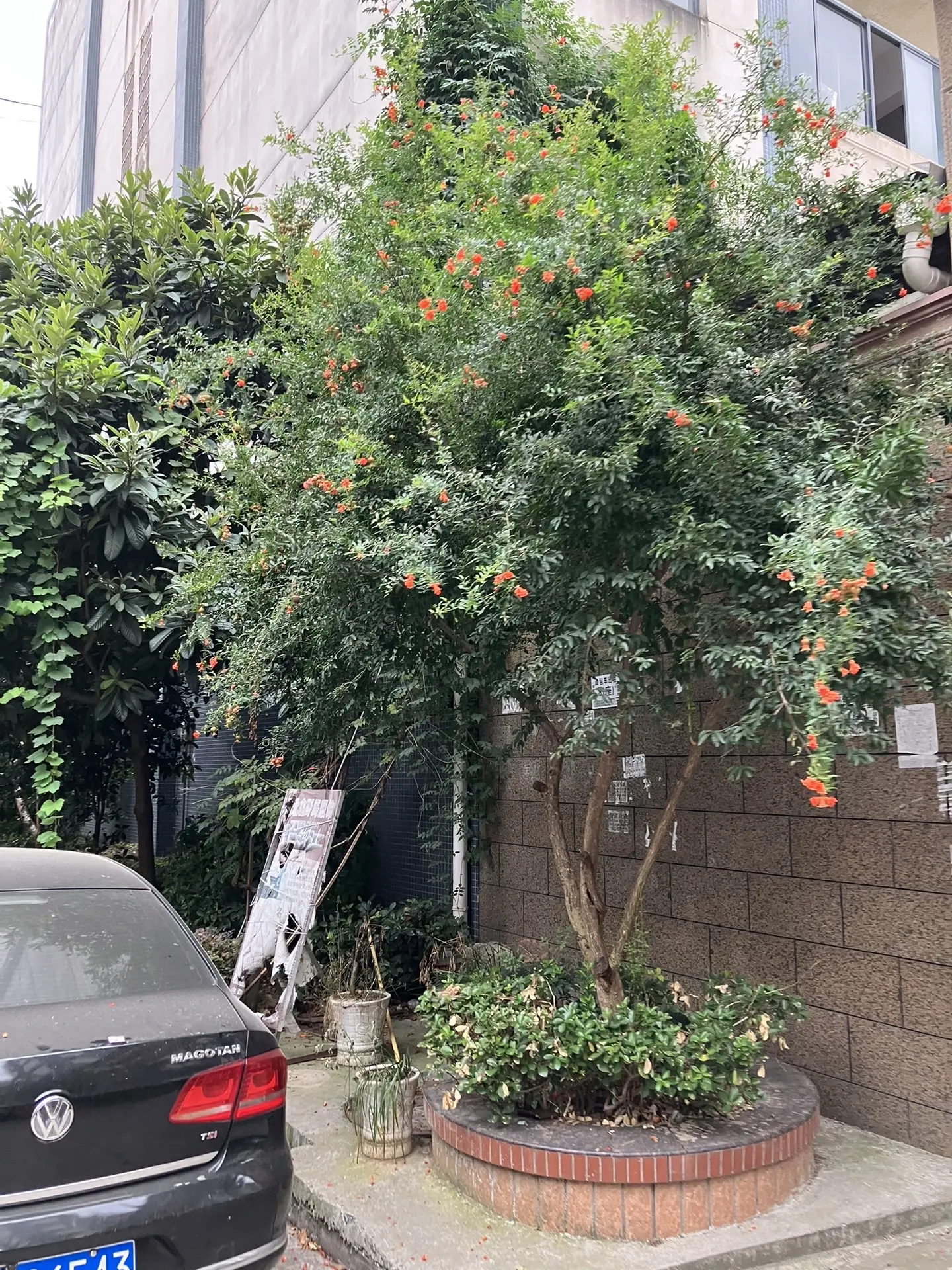 第二届人形机器人运动会开幕式上，天工Ultra机器人立定跳高成绩将近3米，超越人类世界纪录!孙颖莎