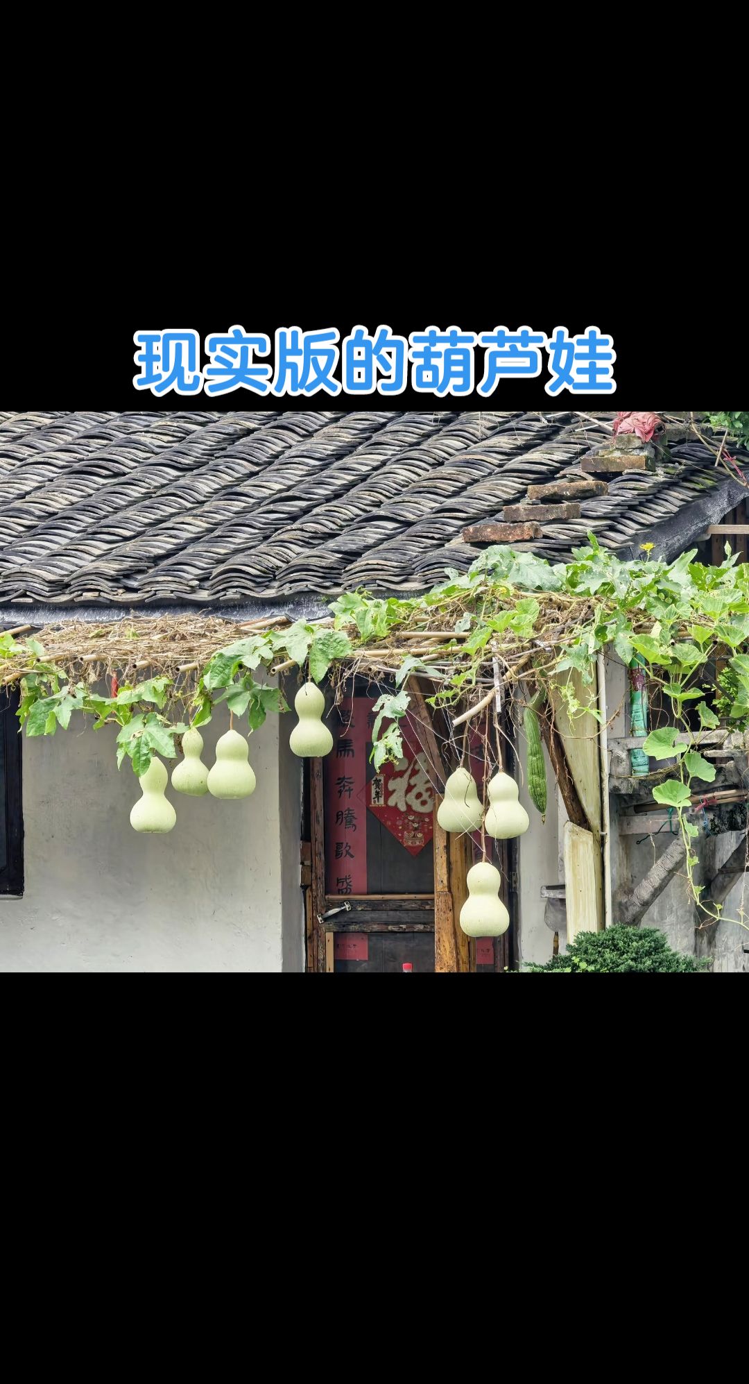 葫芦娃葫芦娃故事……葫芦娃救爷爷，葫芦娃葫芦娃一根藤上七个瓜风吹雨打…