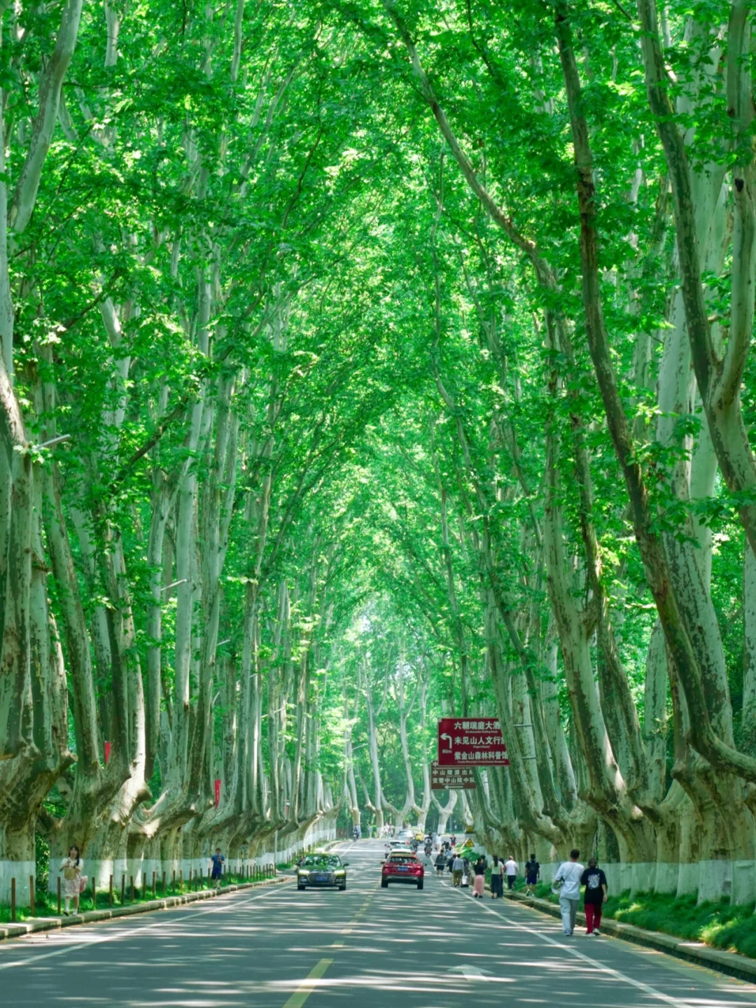 南京旅行后劲太大了😭，听听我的真实感受！