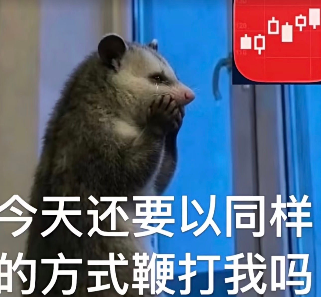 【隔夜美股】WTF！！全是利空！全球一起跳水！
[并不简单]但我的问题是：
1. 我A一定会跟吗？
2. 我A跟着绿下去，一定是坏事吗？

【大家评论区先聊着，下面我给大家提供点“论据”】

[举手]大周末的，两件大坏事
1. 美联储主席大放鹰，年内加息概率飙升到近90%
2.时隔一个月，美伊再度开战，目前互刷 ​