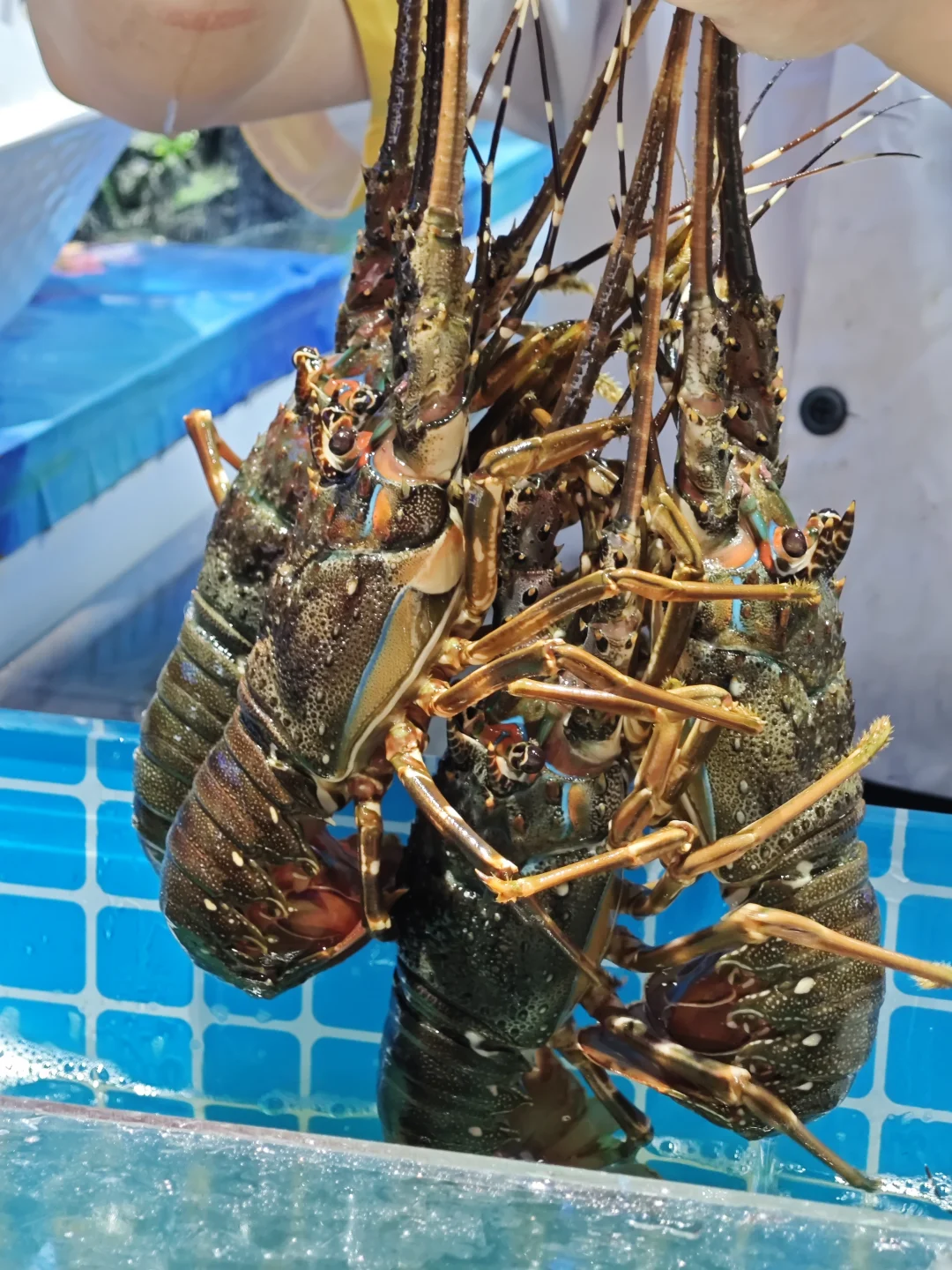 的确是杭州目前断层好吃的海鲜自助。。。