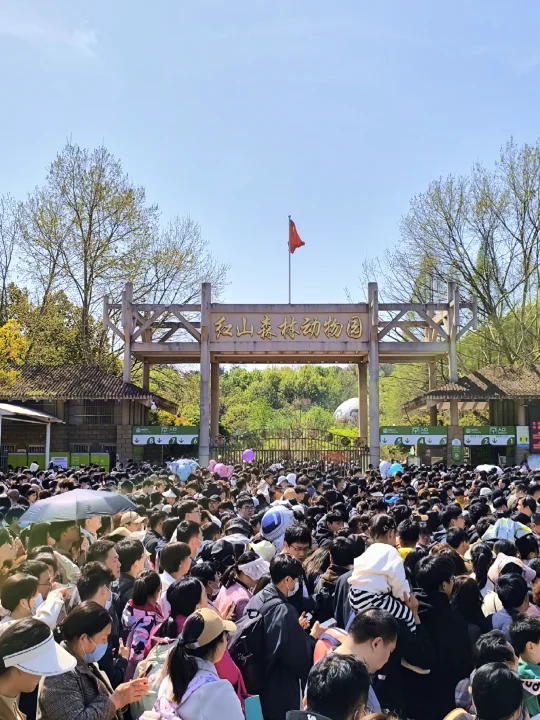 💥免费7天！南京红山动物园又要挤爆啦！