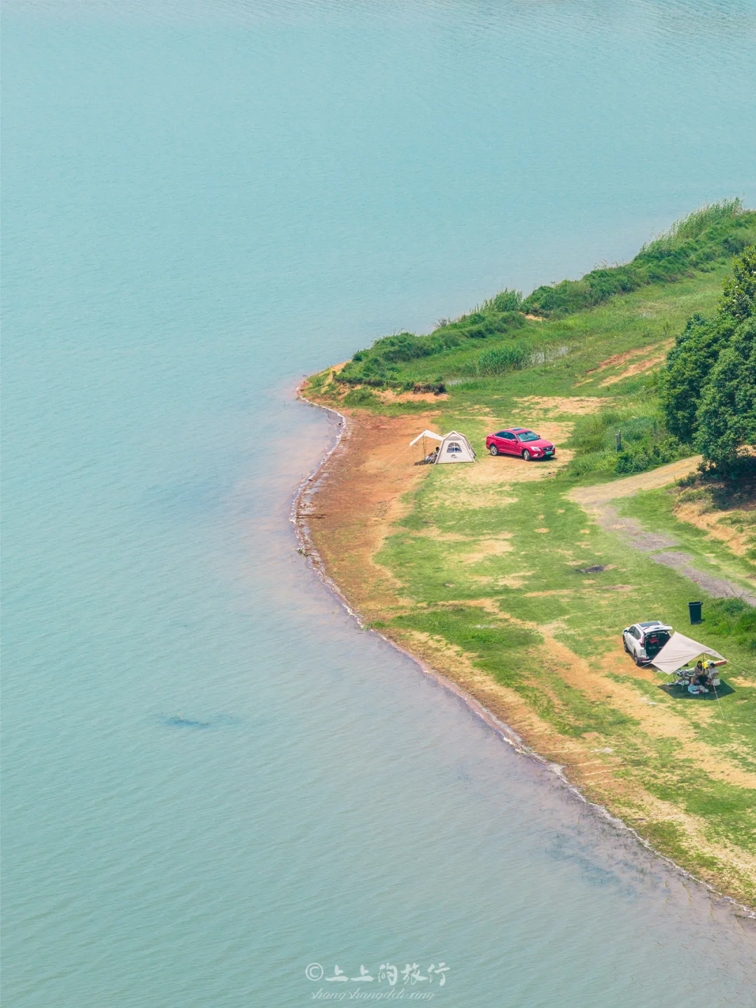 武汉无人打扰的湖边露营🏕️摘杨梅巨惬意～