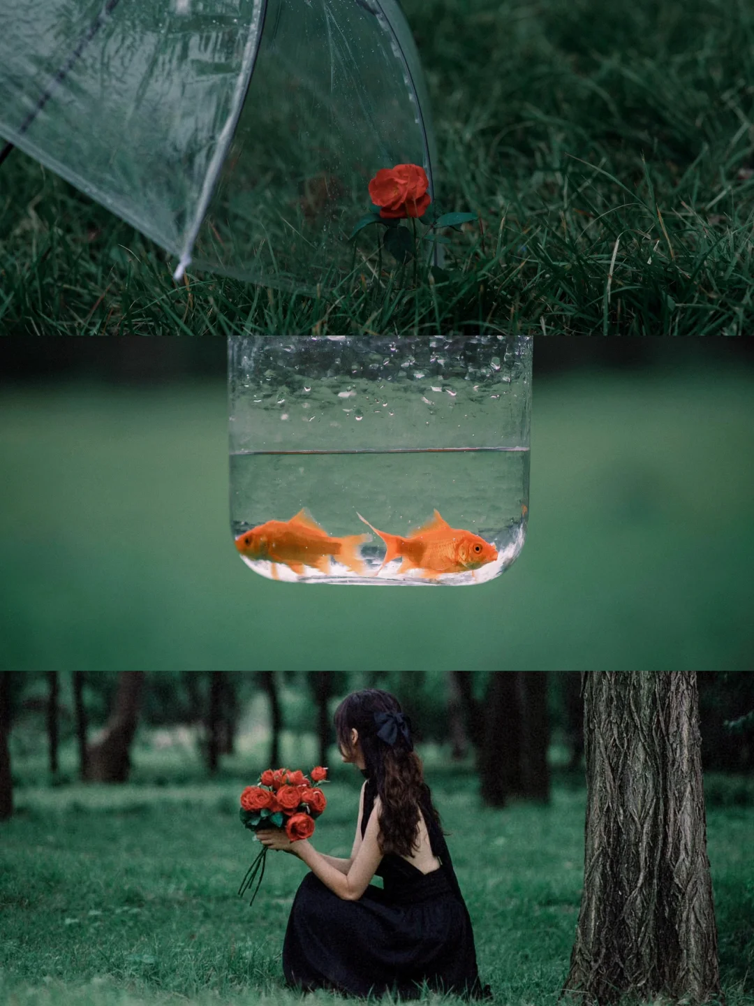 替大家试过了！用这个滤镜轻松省出一台富士！