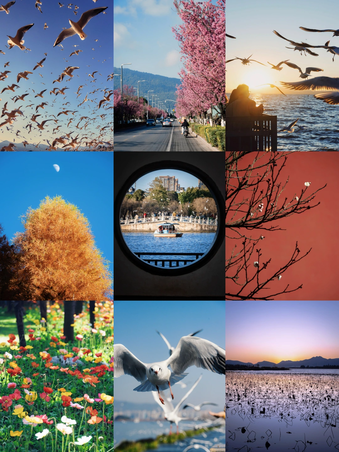 五刷昆明！冬天来玩请直接复制这条宝藏攻略！