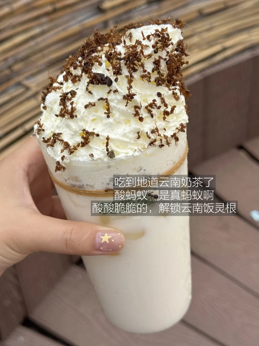 震惊我也！！云南人真的喝蚂蚁🐜