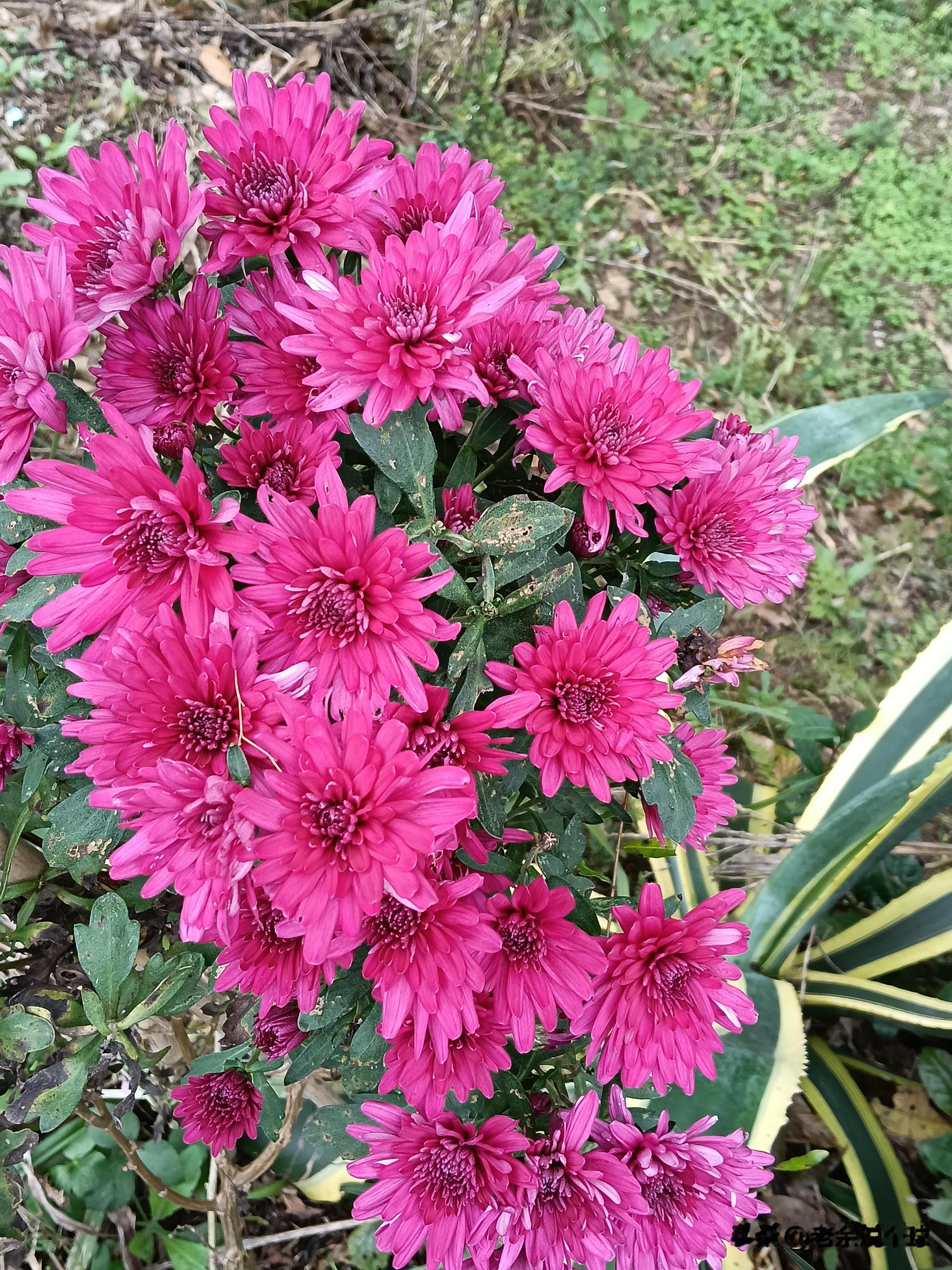 两个人谈恋爱 总是不顺 矛盾层出不穷 没结婚之前就总是吵 干脆就不结算...