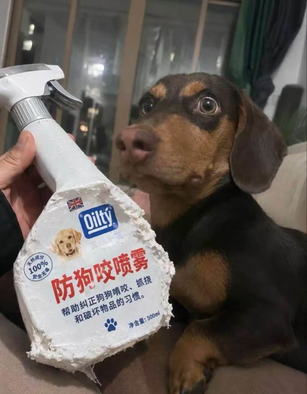 有些人身上的特质真的是有点说法的，昨儿跟阿🐔聊天，我给他扩容第二台 M4 Mac mini 的时候，是硬盘价格的最高点，没有之一，有史以来最贵的硬盘让他买了，不服气不行。 ​