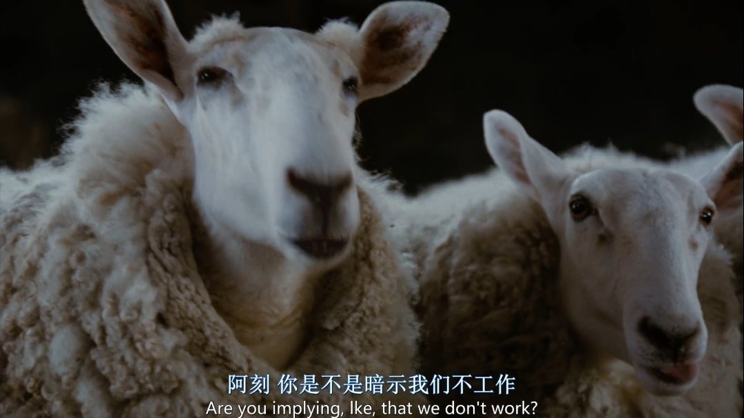 6月下旬豆包开始收费。投入这么多，终于到了收获的季节，看用户买不买账吧...