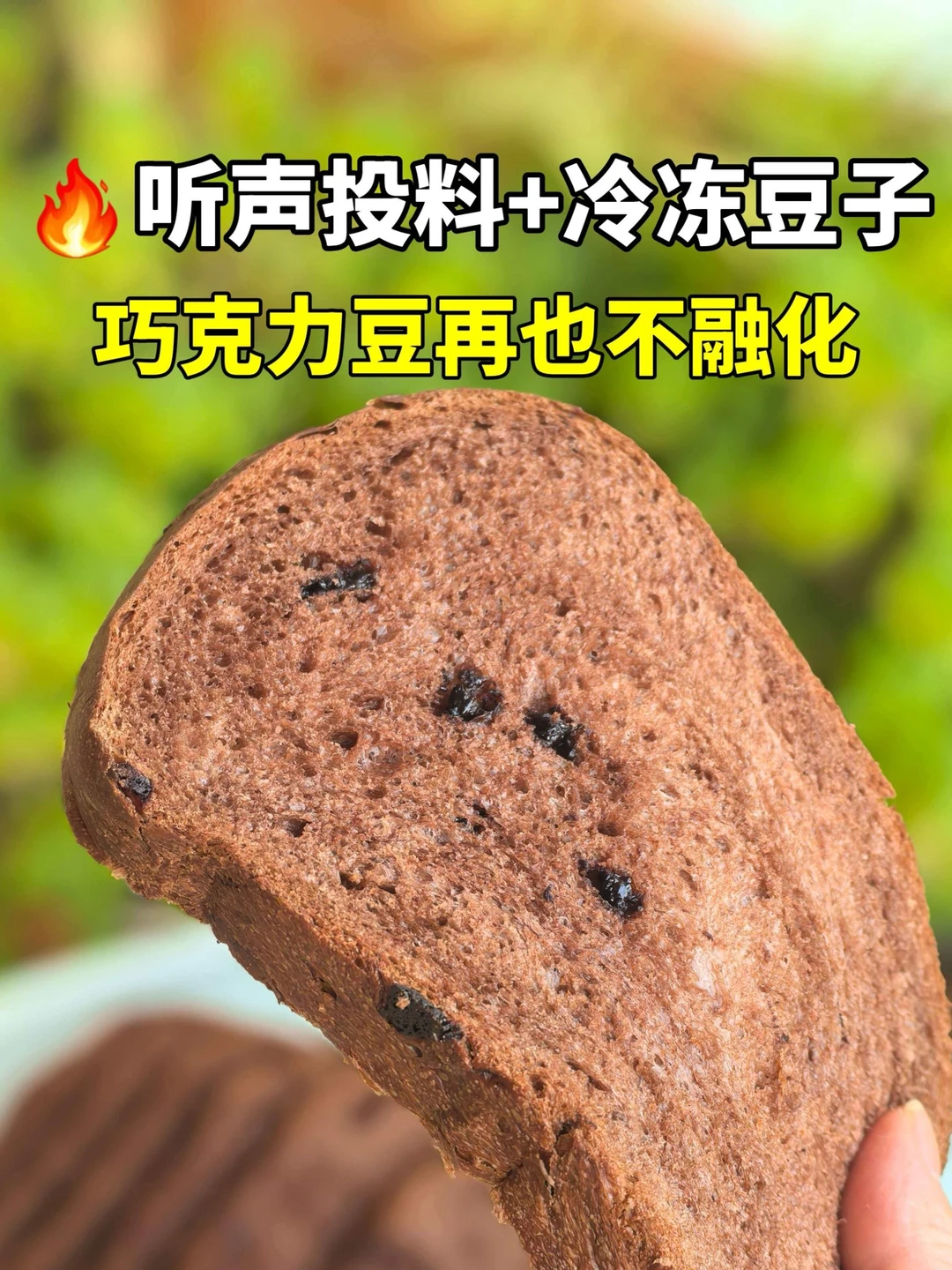 翻车8次：面包机2步做出不化豆的吐司