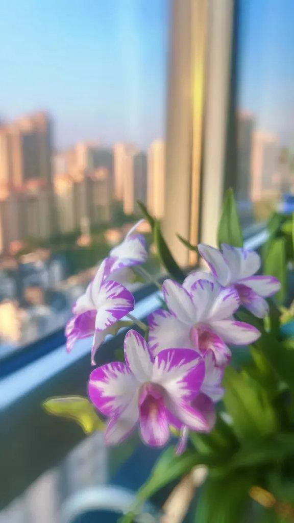 #张庭[超话]# 自洽，自在，自得。 ​
