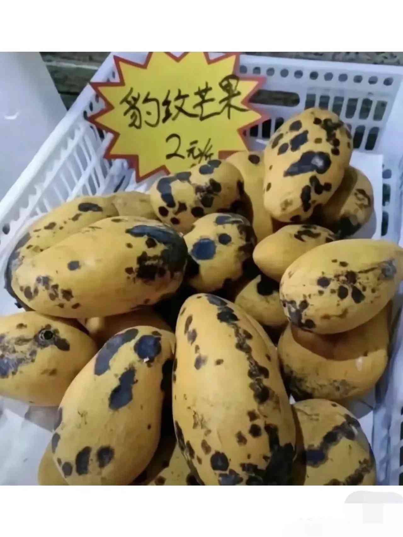 豹纹美女你见过，但是你肯定没见过豹纹芒果，今天就让你见识一下！搞笑，芒果是认真的