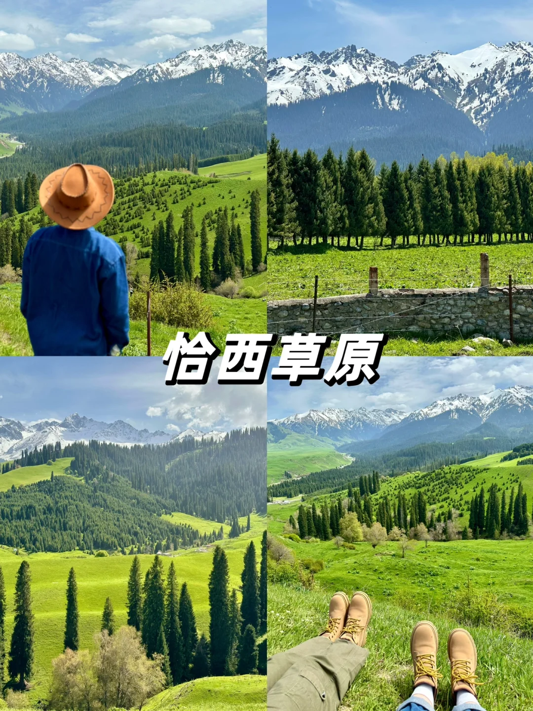 📍恰西｜藏在画卷中的森林草原🌲