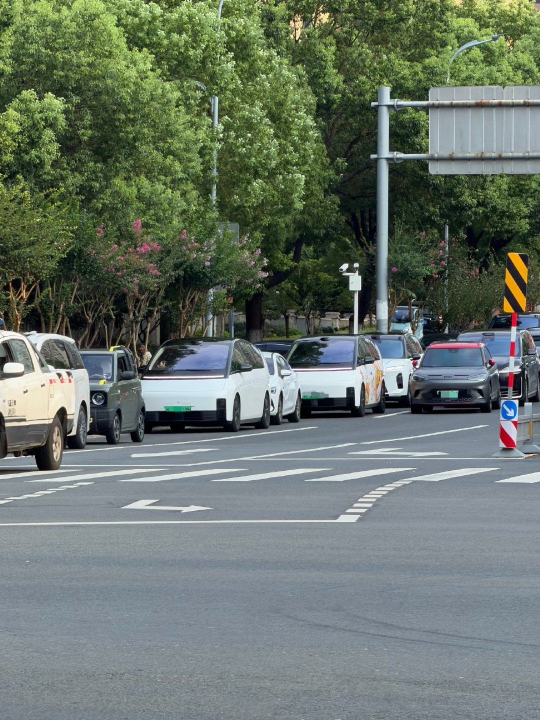 给你们看看外国语学校家长多爱MPV，
理想MEGA、智界V9、极氪001、腾势D9、
岚图梦想家、极氪MIX、奔驰V、别克GL8、
丰田埃尔法、威尔法、赛纳……
苏州交规这点还是很人性化的，
接送孩子的时段路边可以随便停[awsl][awsl]  ​
