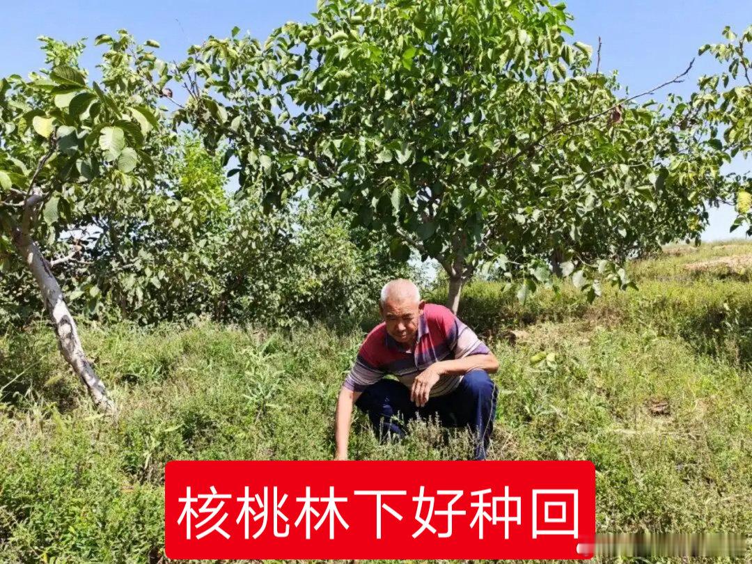 #今日头条[超话]#