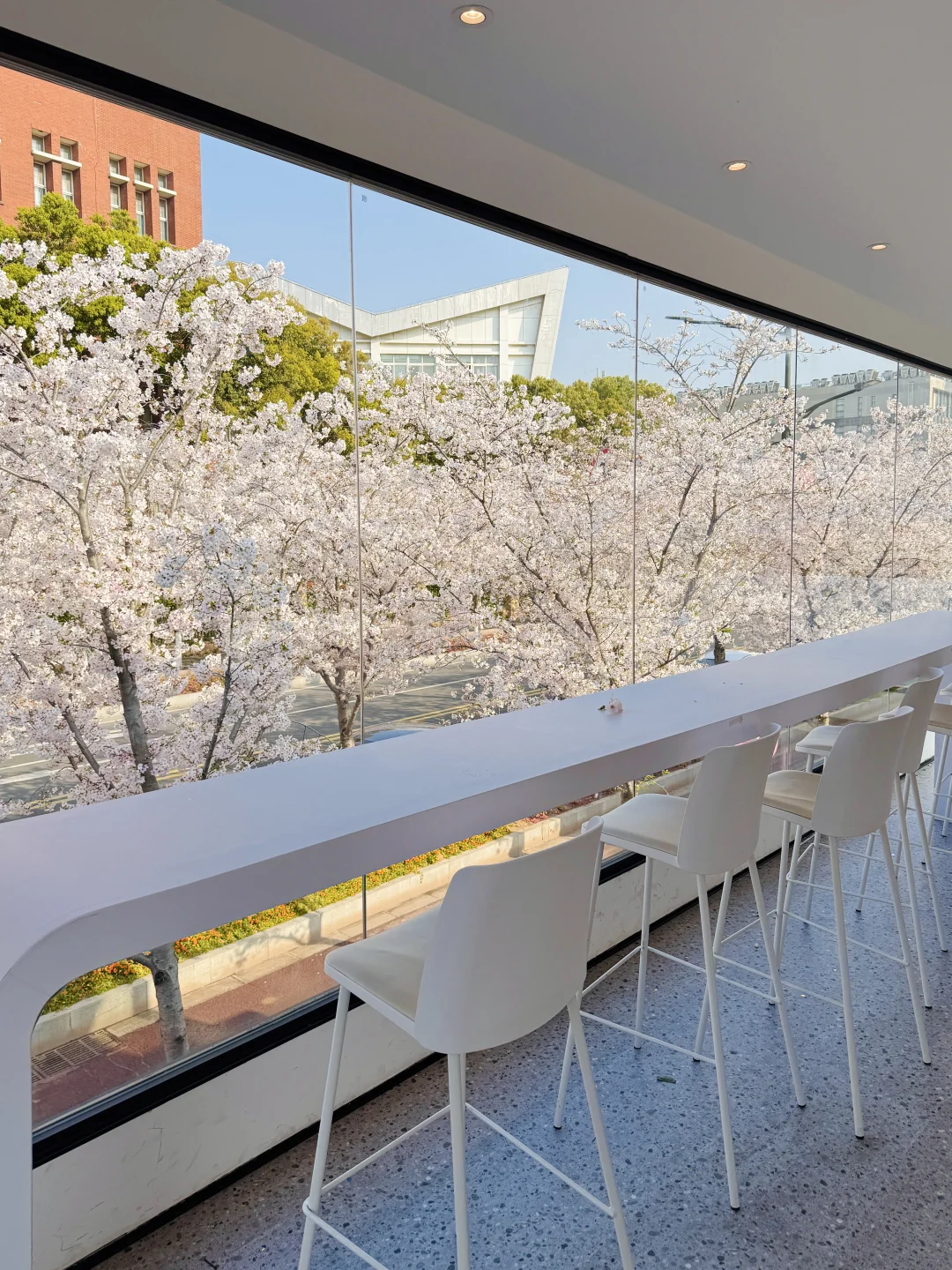 南京最好的东西都是免费的！！（📍附地址