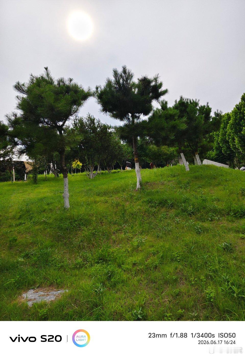 #vivo[超话]##当你有了vivo#  当你有了vivo你发现拍出的草地和树是青翠的，有vivo之前草地和树只是一片绿，有vivo之后草地和树的绿很自然。 ​