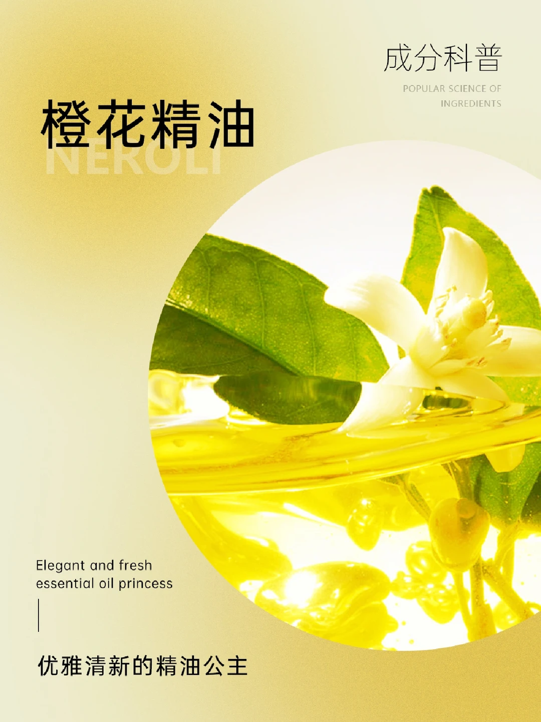 精油科普｜优雅清新的精油公主——橙花精油