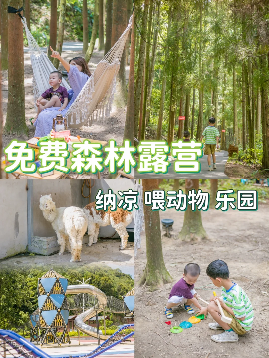 重庆避暑⛺️免费露营+动物乐园，这里好凉快❗️