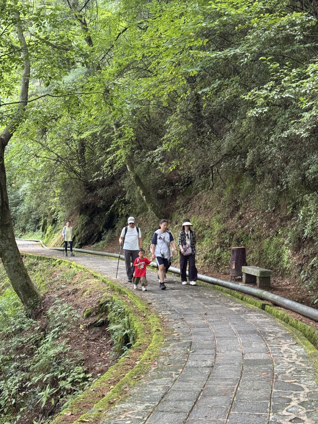 苍山轻徒步，5～10km版