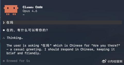 坏辣，我怎么油腻了 ​