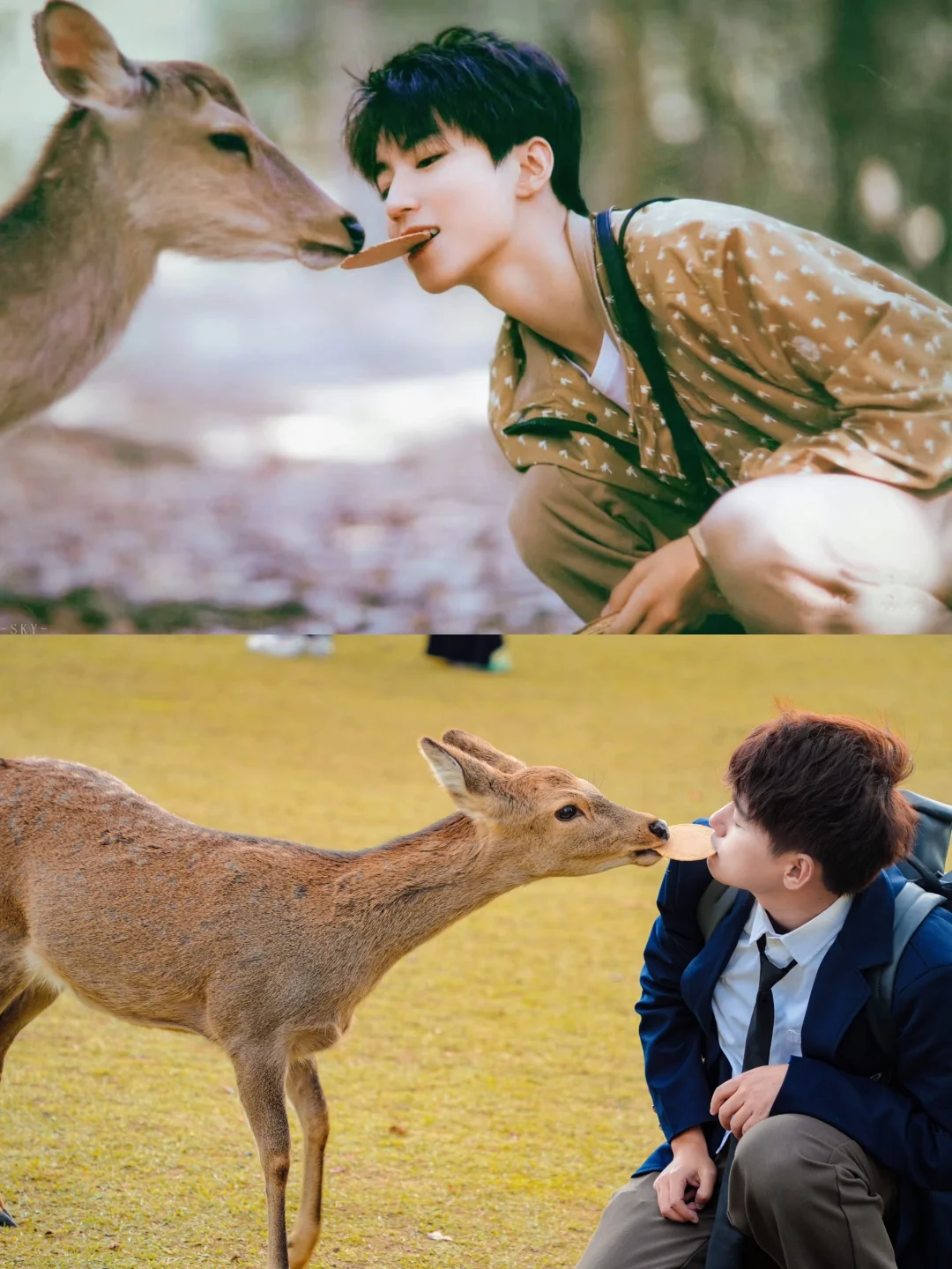 30岁时，终于在奈良拥有了19岁的王俊凯同款
