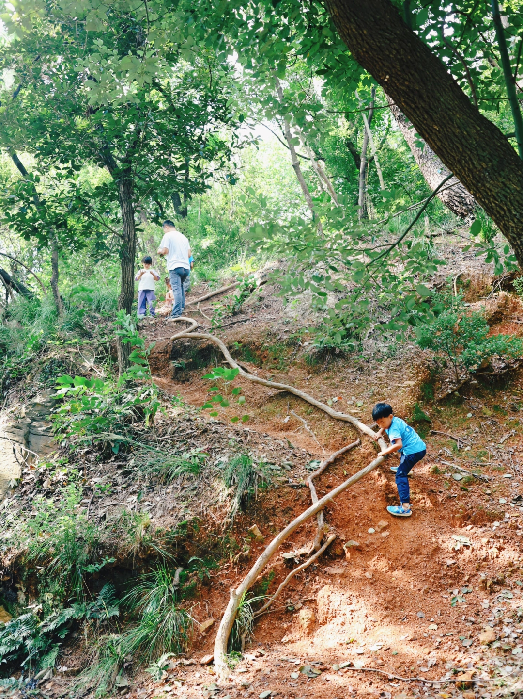 武汉藏在东湖边的幼儿园，居然只招20个娃😂