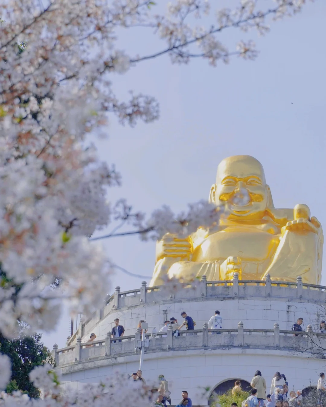 一些上方山花事合集🎞