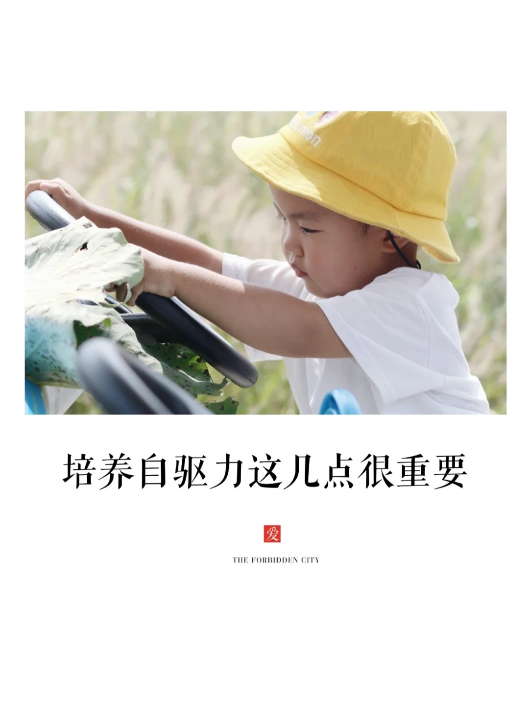 成长🤗|如何培养孩子自驱力激发孩子潜能