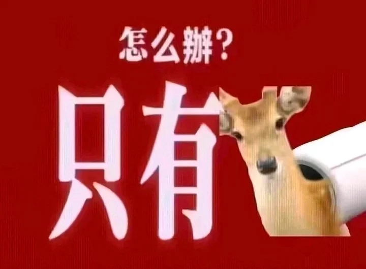 昨天后台收到个姑娘的私信，老长一篇小作文。
说最近压力快扛不住了，项目连轴转不说