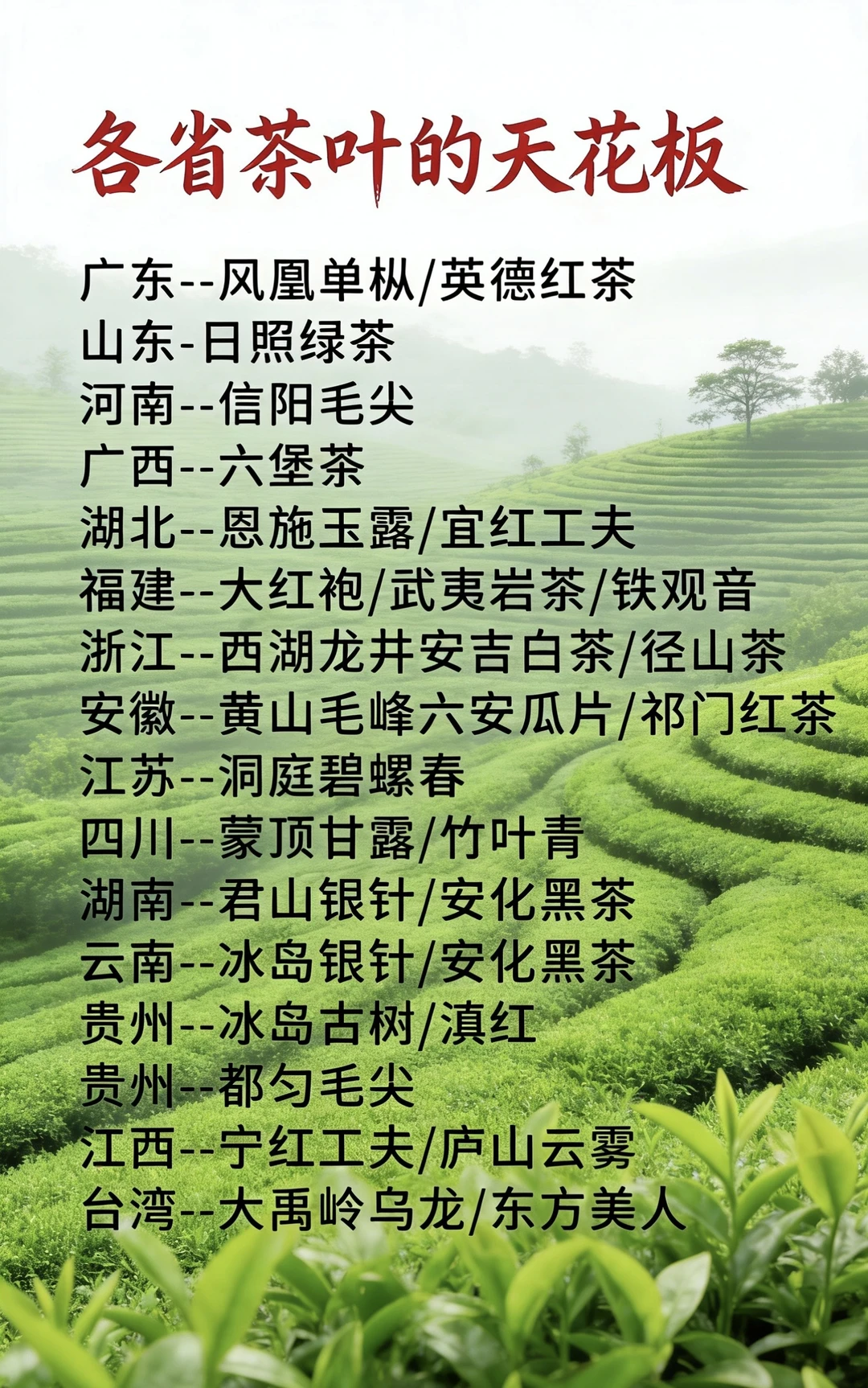 中国各省茶叶的天花板，你都喝过吗？