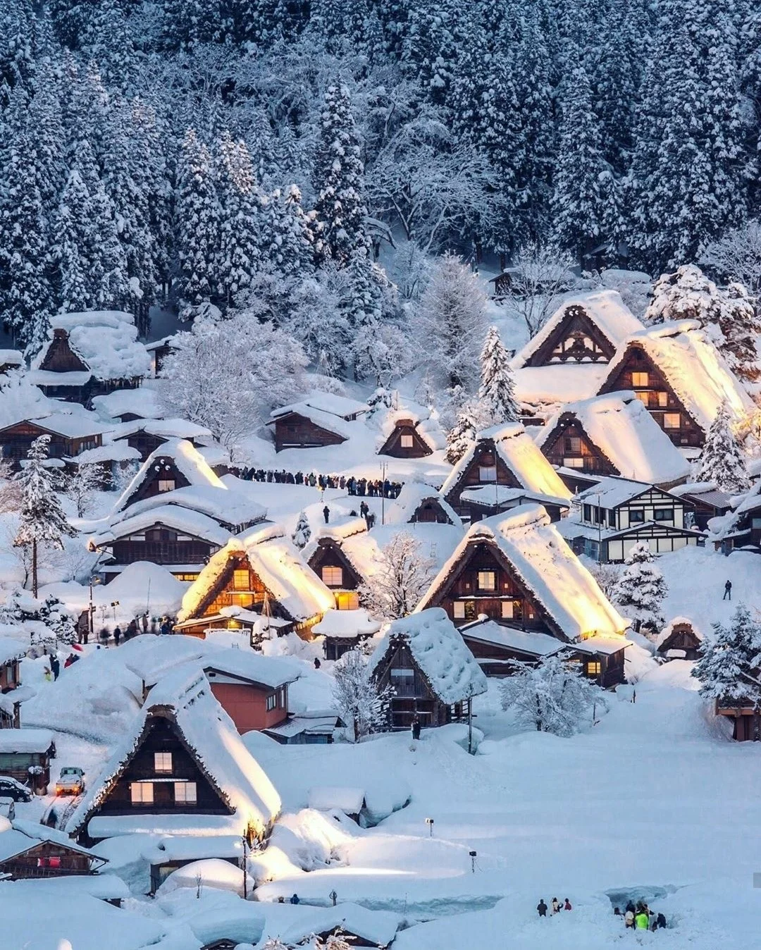 日本岐阜县|人间烟火气却似在天堂白川乡