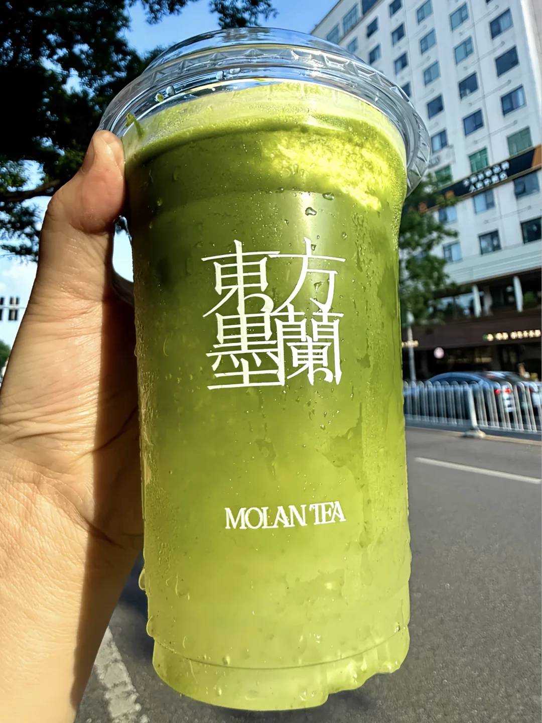 东方墨兰，抹茶这块真让你给玩明白了！！！
