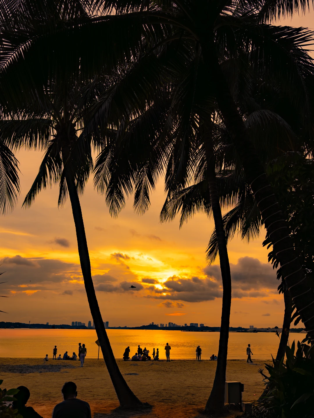 刚从新马回来，超详细攻略，不懂就问⁉