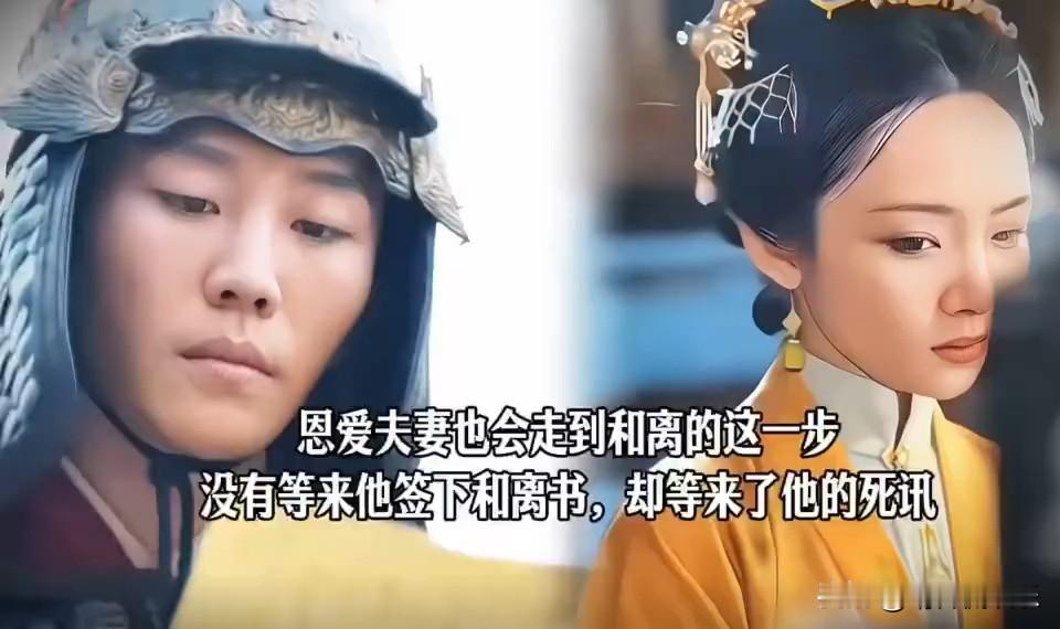 《兰香如故》
袁绍辉就算纳了妾，到最后也没能盼来儿子。

他驻守海防时遭杜翠雀下毒暗算，以身殉国。所有人都等着看林绣茹崩溃痛哭，可她完全没有沉溺悲伤。
 
曾经纳妾一事带来的委屈她记在心里，但国仇家恨分得清清楚楚。她不再是温顺柔弱的侯夫人，冷静果决，出手除掉杜翠雀，替亡夫报仇。
 
经历过婚姻里的磋