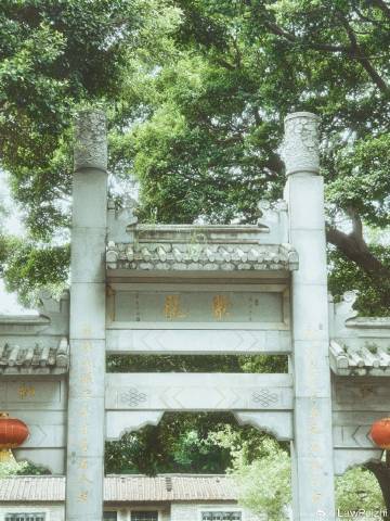 广州荔湾的聚龙古村，是隐匿于城市喧嚣里的夏日秘境。青砖黛瓦相拥层层浓绿...