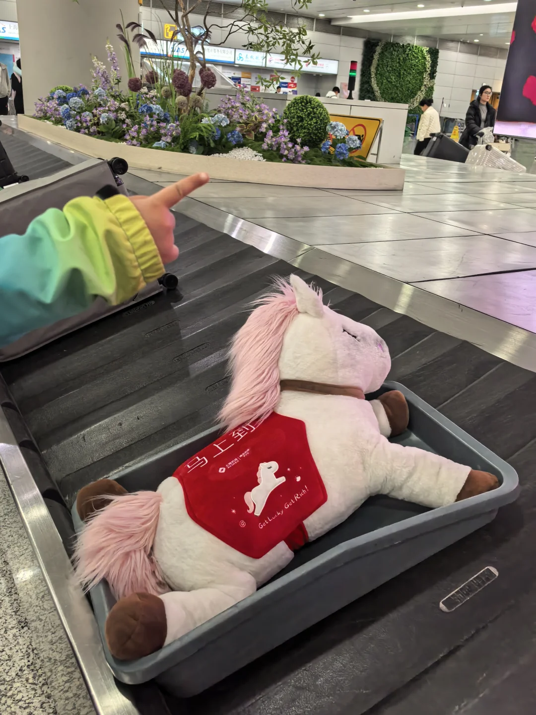 上海浦东机场对待行李箱🧳好温柔