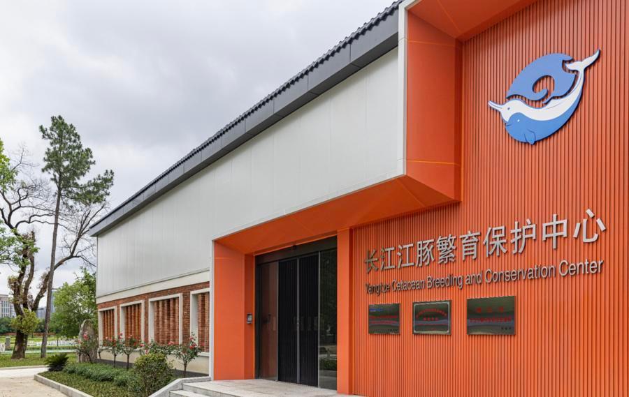 【比大熊猫还少！武汉这项AI技术给长江"街溜子"建起了数字档案】#长江大保护# #江豚#  #中国智造这样点亮未来# 
江湖人称"长江街溜子"的长江江豚，嘴角天生上扬，看起来很好相处，可全长江只剩1426头——比大熊猫野外种群（约1900只）还少近四分之一！但好消息是：十年禁渔，真的管用！
📊 十年禁渔 ​