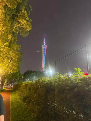 今年来的第四次