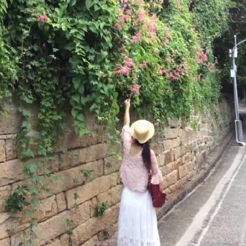 遇见你温柔如初