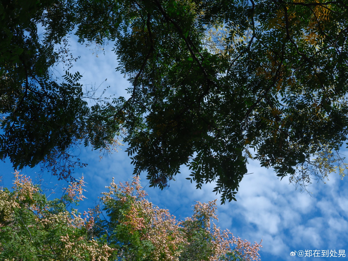 #上5休1上5休3上3休7上3休1# 
本周日上班一天，下周五至周日休三天，那么我请问：多休了哪一天？如果没有多休一天，凭什么替我安排我的工作日和休息日？？ ​